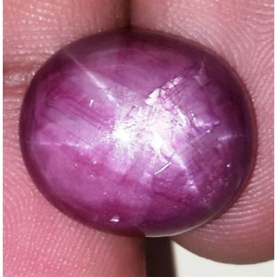 18.68 Carats African Star Ruby 15.78x13.94x7.39 mm