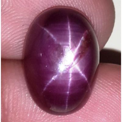 15.16 Carats African Star Ruby 15.40x10.84x7.94 mm