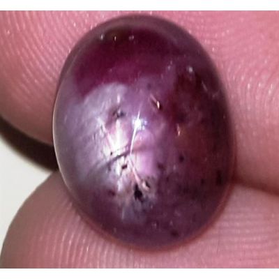 11.2 Carats African Star Ruby 12.74x9.78x7.64 mm