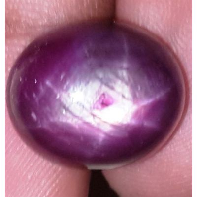 21.26 Carats African Star Ruby 15.39x12.66x9.04 mm
