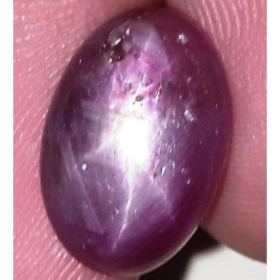7.95 Carats African Star Ruby 13.95x9.49x5.56 mm