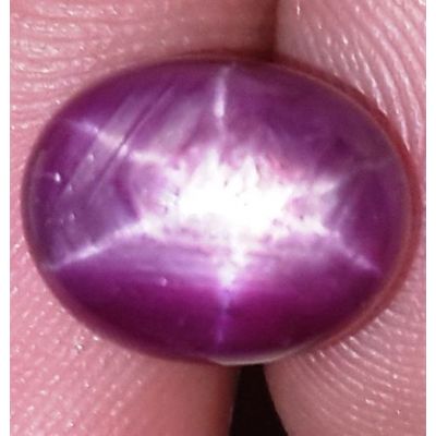 8.05 Carats African Star Ruby 10.68x8.60x7.16 mm