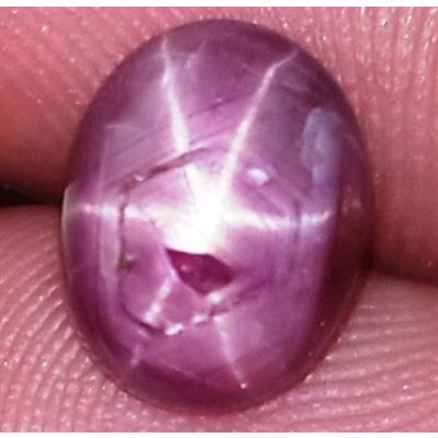 3.65 Carats African Star Ruby 9.34x7.39x4.56 mm