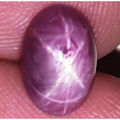 2.54 Carats African Star Ruby 8.89x6.04x4.10 mm