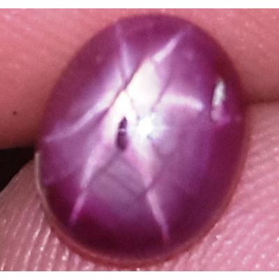 2.43 Carats African Star Ruby 7.51x6.20x4.27 mm