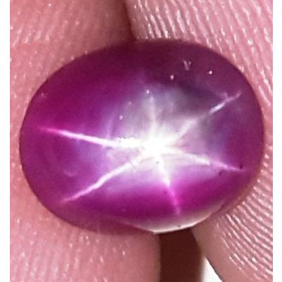 2.44 Carats African Star Ruby 8.20x6.47x4.15 mm