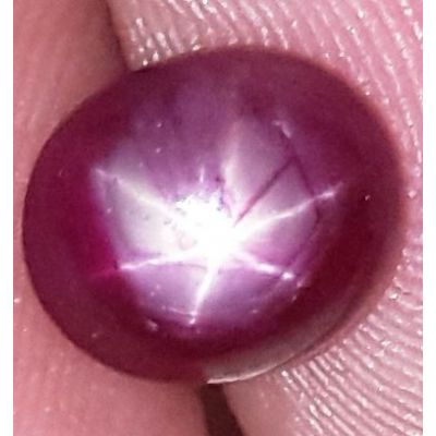 2.88 Carats African Star Ruby 7.77x6.72x4.70 mm