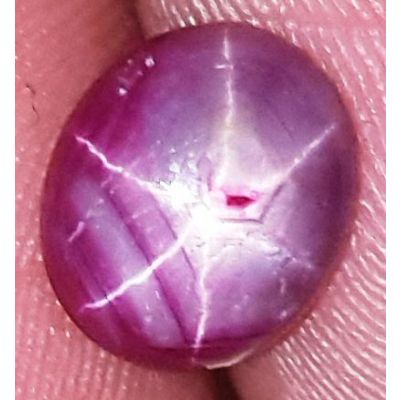 2.51 Carats African Star Ruby 8.23x7.07x3.68 mm