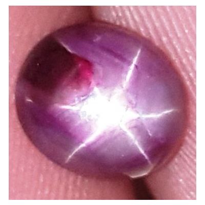 2.37 Carats African Star Ruby 7.04x6.12x4.28 mm