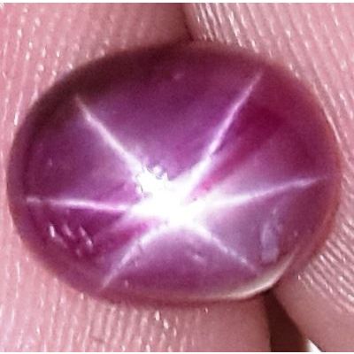 3.07 Carats African Star Ruby 8.54x6.96x4.38 mm