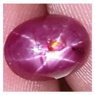1.97 Carats African Star Ruby 8.21x6.06x3.57 mm