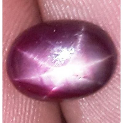 1.73 Carats African Star Ruby 8.18x6.07x2.92 mm