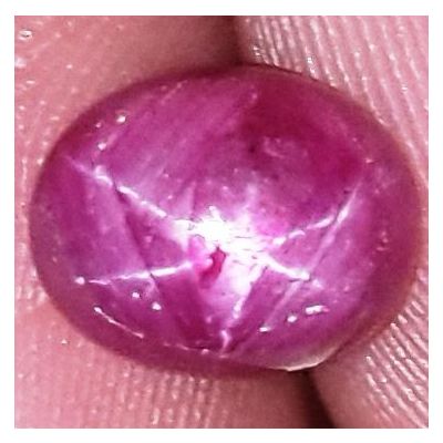 2.56 Carats African Star Ruby 8.06x6.44x4.14 mm
