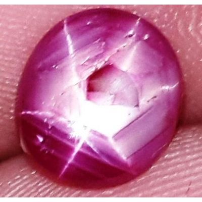 2.03 Carats African Star Ruby 8.63x7.42x2.71 mm