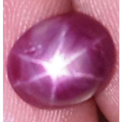 2.74 Carats African Star Ruby 8.04x6.08x4.48 mm