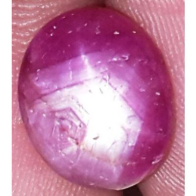 6.01 Carats African Star Ruby 11.30x9.41x5.13 mm