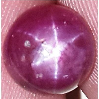 3.78 Carats African Star Ruby 8.18x8.18x4.94 mm