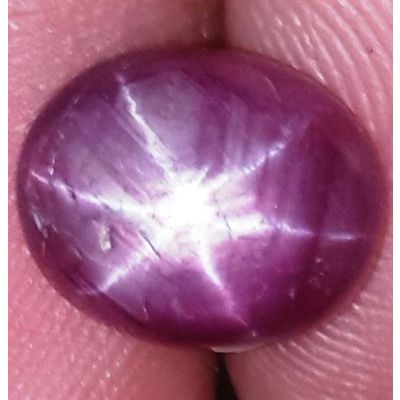 4.5 Carats African Star Ruby 10.25x8.29x4.60 mm