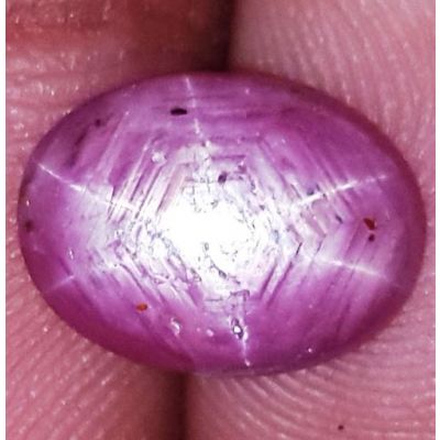 3.18 Carats African Star Ruby 10.38x7.84x3.43 mm