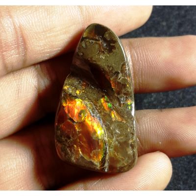 37.87 carat Natural Ammolite 34.11x18.77x7.47mm