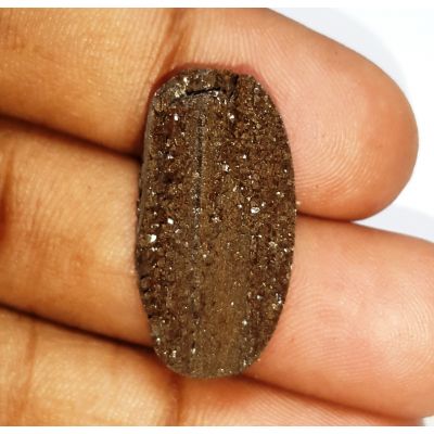 14.95 carats Natural Fossil wood 25.14x13.11x6.96mm