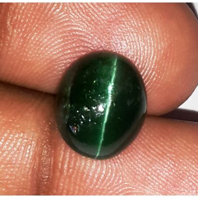 5.13 Carats Natural Sky Green Apatite Cat's Eye 11.27x9.43x5.55mm